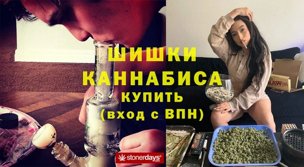 МДПВ Алексин