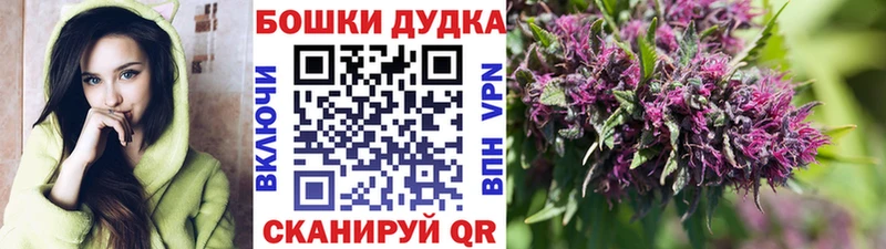 Каннабис сатива  Купить закладки  Сысерть 